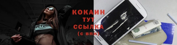 гидра Абаза