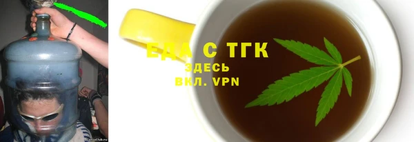 хмурый Алзамай