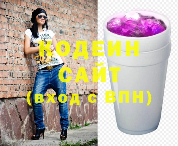 хмурый Алзамай