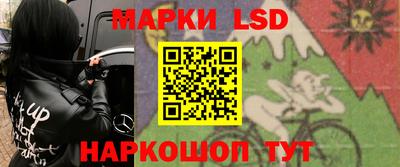 spice Кингисепп