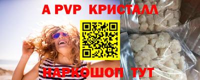 spice Кингисепп