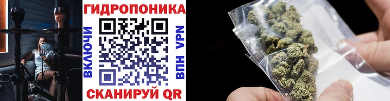купить Лысьва мега сайт Бошки марихуана сатива